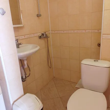 студио александрови Apartment *